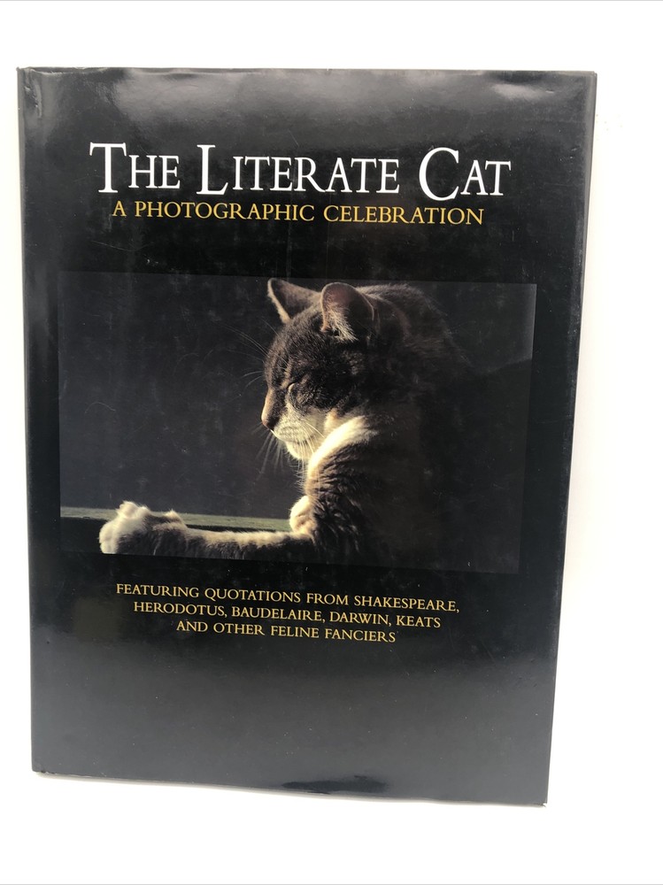 The Literate Cat by Marc A. Brown (1995, Hardcover) FREE SHIP