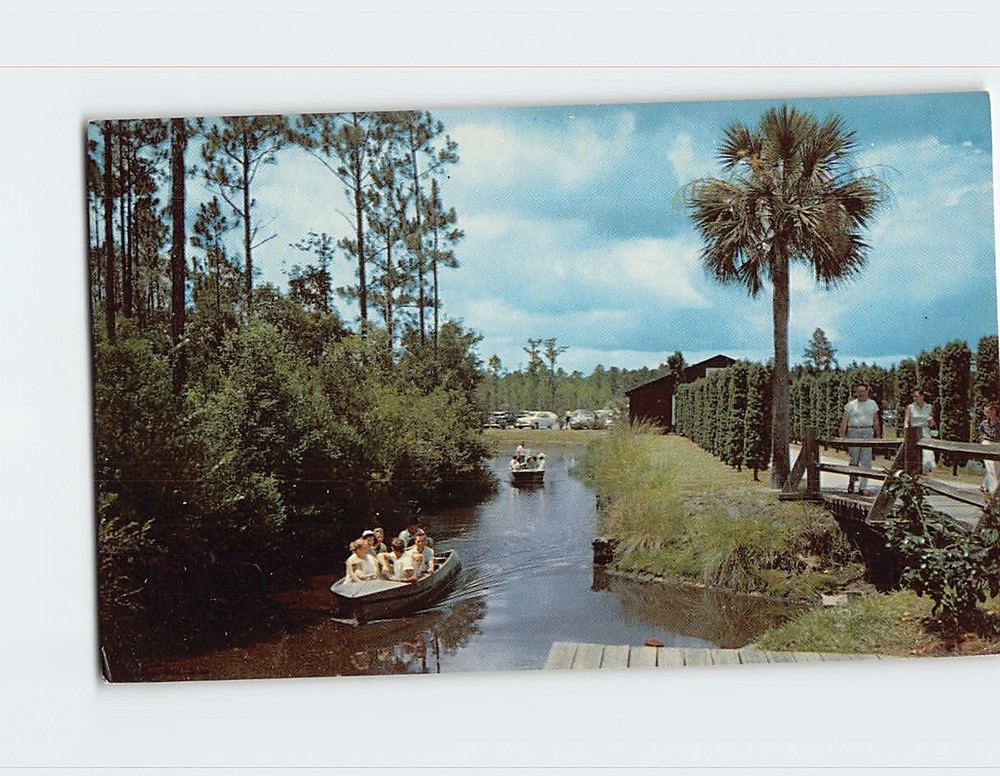 Postcard Okefenokee Swamp Park Waycross Georgia USA