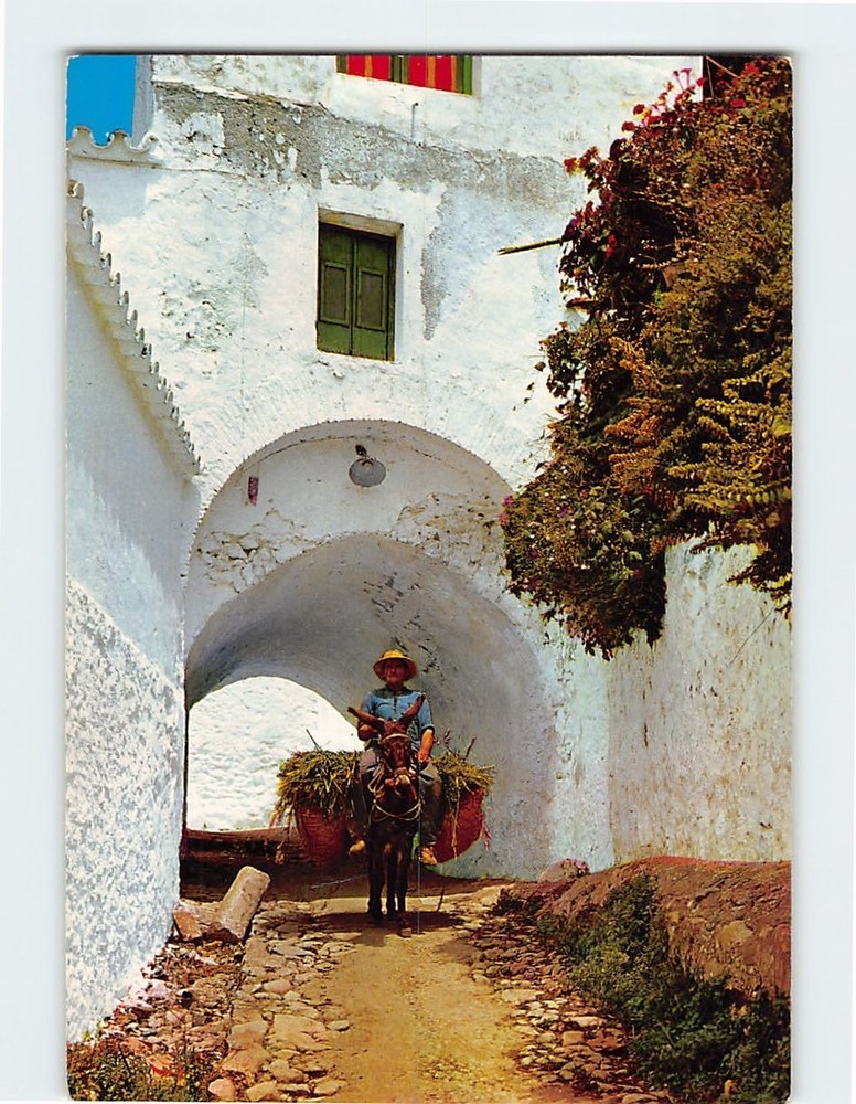 Postcard Paisaje tipico Costa del Sol Mijas Spain