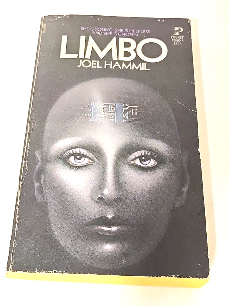 Limbo Joel Hammil 1st Pocket Paperback Ed 1982 Science Fiction Book Pocket Books