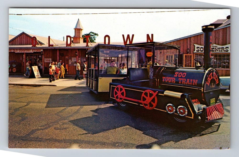Sault Ste Marie MI-Michigan Soo Tour Train Vintage Postcard Standard Postal Old