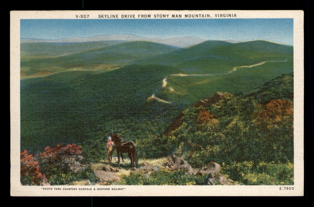 Skyline Drive From Stony Man Mountain Virginia VA Horse Man Unp Linen Postcard