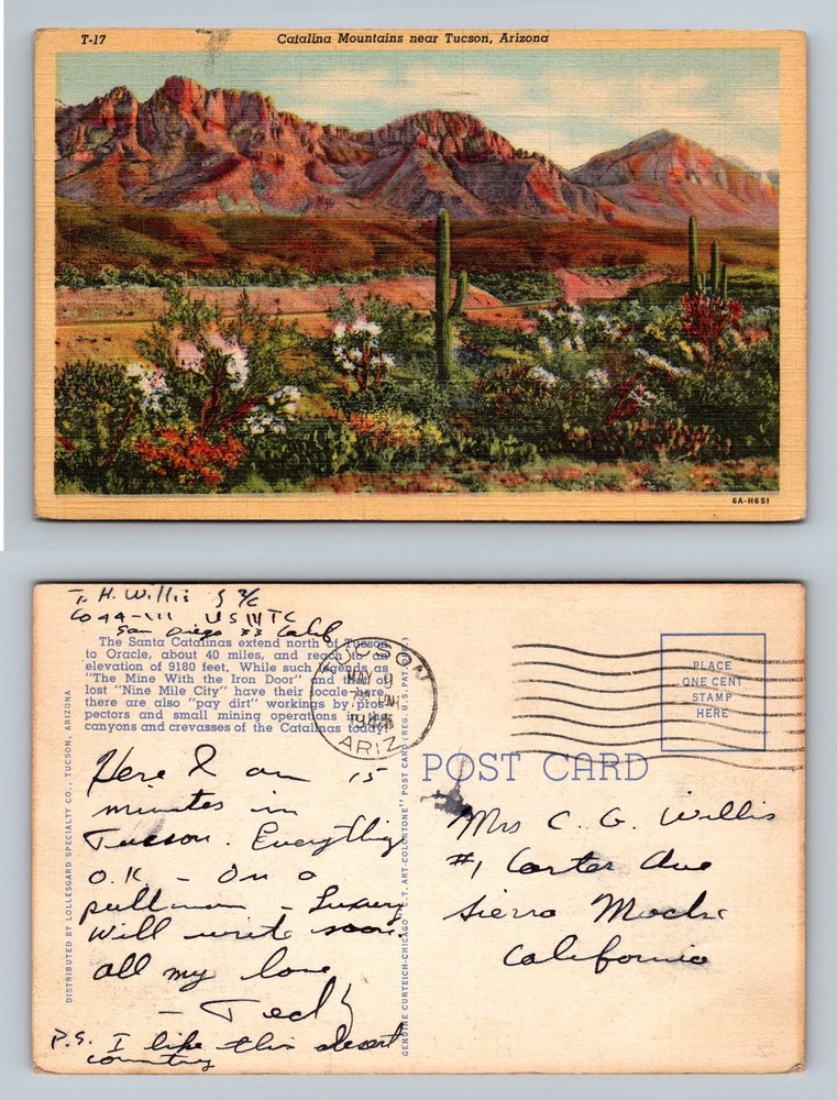 Tucson, AZ-Arizona, Catalina Mountains Desert Cactus View Vintage c1944 Postcard
