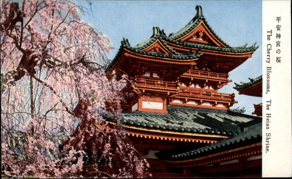 Kyoto Kyoto Japan Heian Shrine cherry blossom tree unused vintage postcard