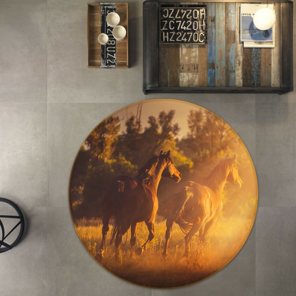 3D Sunshine Horse O1907 Animal Non Slip Rug Mat Elegant Photo Carpet Fay