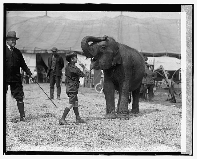 Teddy Roosevelt,3d,at circus,5/13/24,Elephant,Child,May 1924,Entertainment
