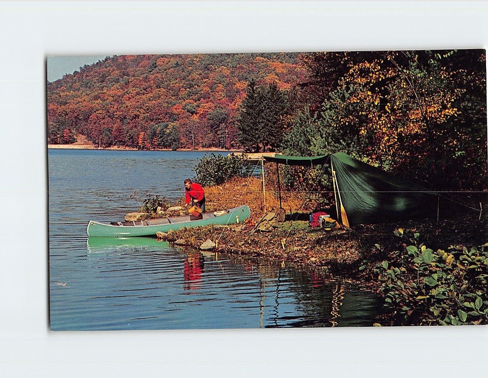 Postcard Camping by the Lake Nature Scene
