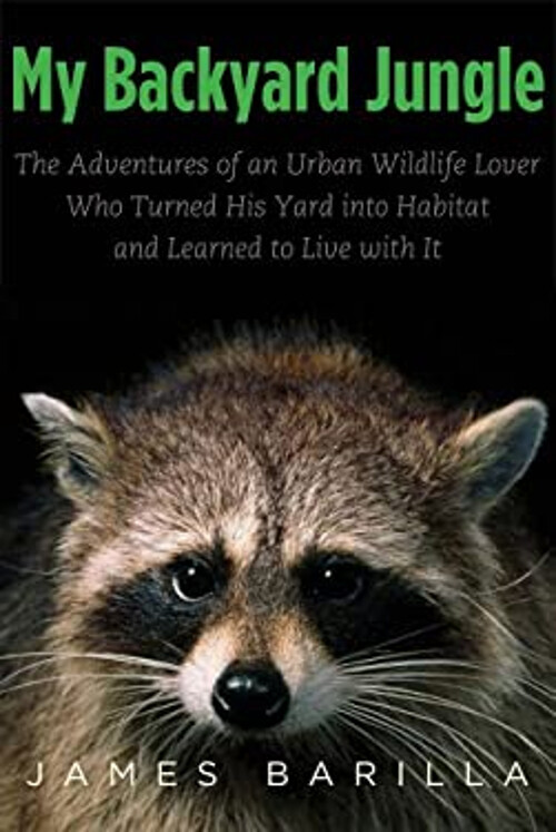 Explore Urban Wildlife Adventures in My Backyard Jungle Story