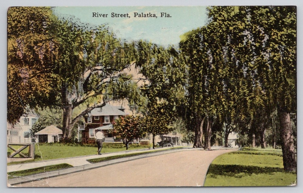 River Street Palatka FL Florida Vintage Postcard Posted 1920s Trees Houses