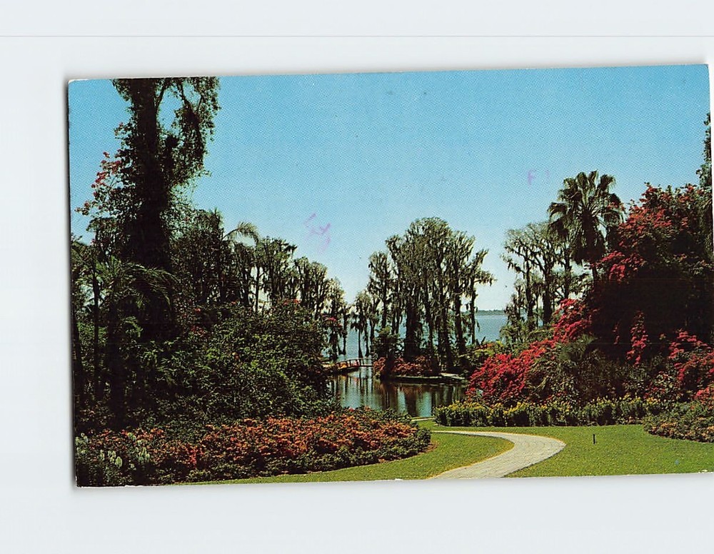 Postcard Palms, Cypress & Banana Trees Cypress Gardens Florida USA