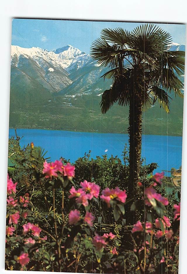 Postcard Scenic View of Lake Maggiore in Locarno Switzerland