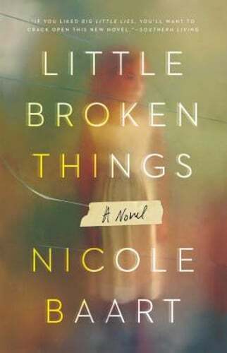 Little Broken Things by Nicole Baart - A Gripping New Novel