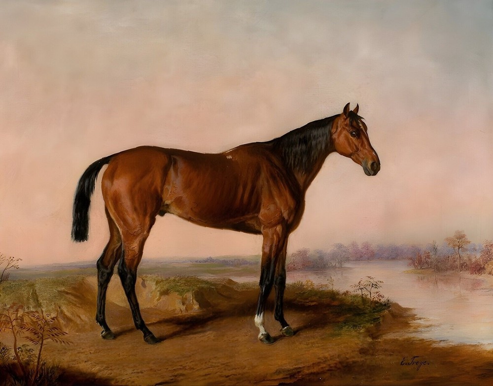Kentucky Race Horse Sorrel Print 8x10 200 años Tinta Museo 100% Algodón Papel A8