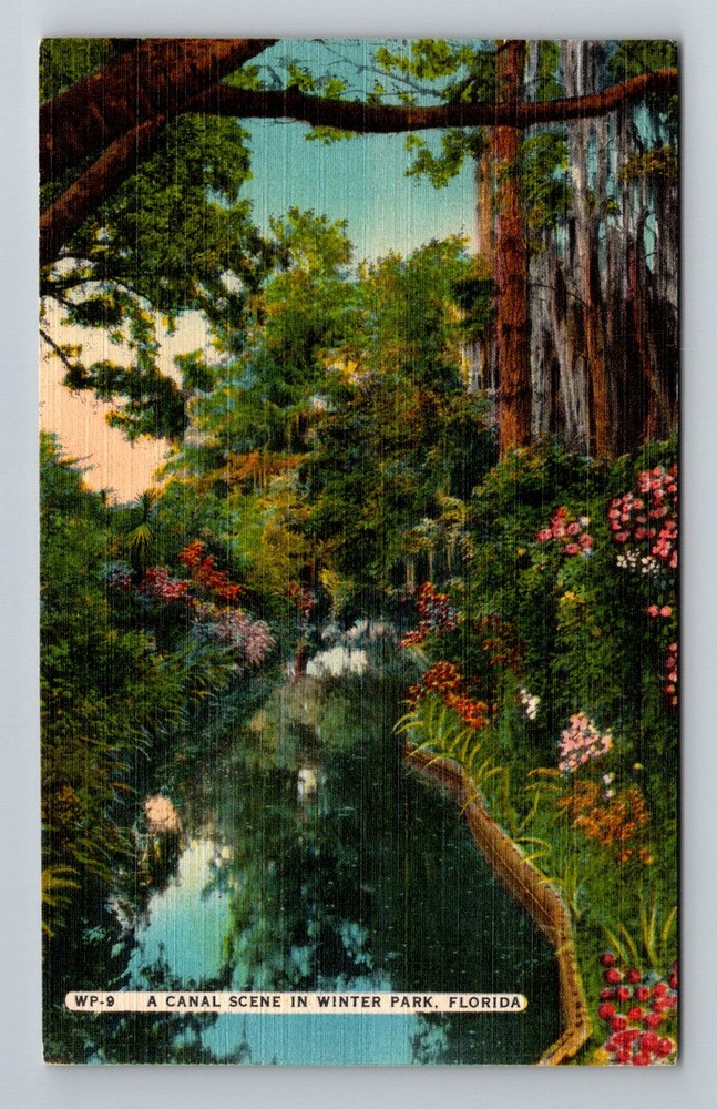 Winter Park, FL-Florida, Canal Scene Flowers Gardens Vintage Postcard