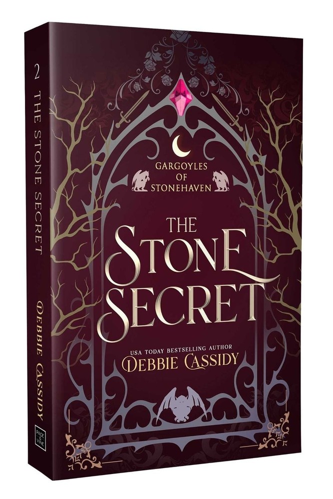 The Stone Secret by Debbie Cassidy (English) Paperback Book