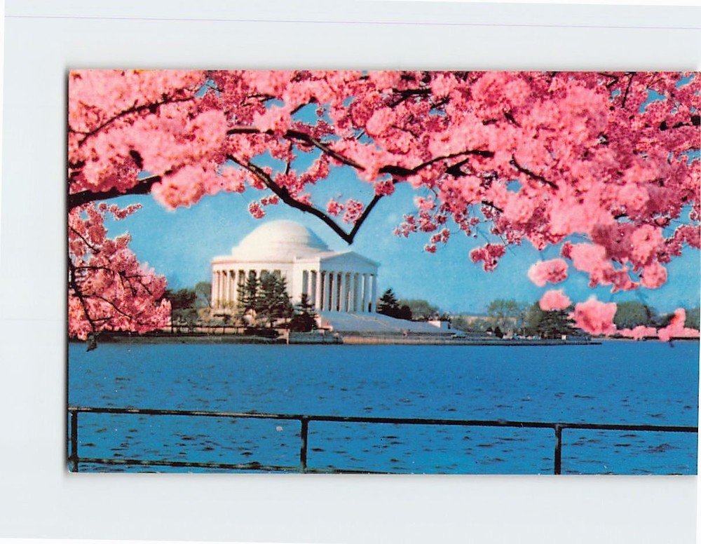 Postcard Jefferson Memorial, Washington, District of Columbia