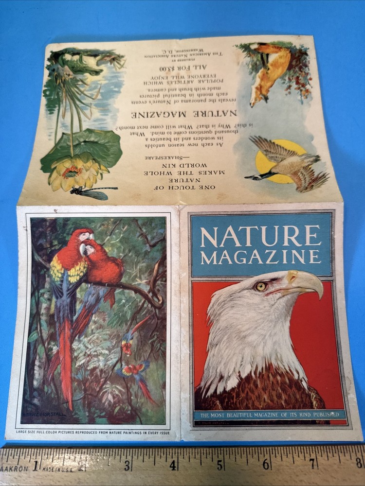Nature Magazine 1930's Adv Brochure, R. Bruce Horsfall American Nature Assoc.