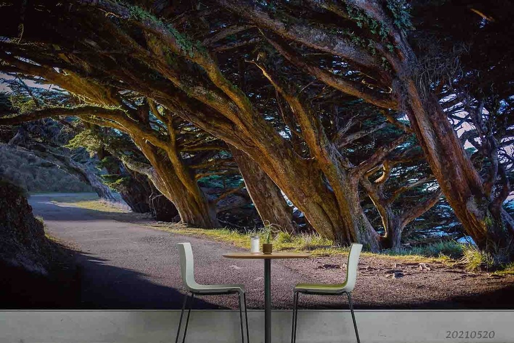 3D Forest Path Landscape Wall Murals Wallpaper Murals Wall Sticker 2