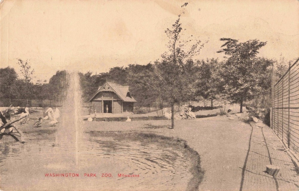 Birds in Washington Park Zoo, Milwaukee, Wisconsin WI - c1910 Vintage Postcard