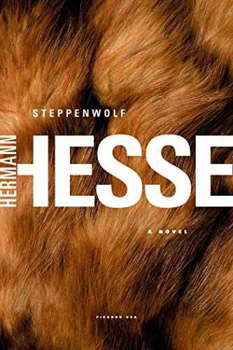 Steppenwolf: A Novel - Paperback, by Hesse Hermann - Acceptable n