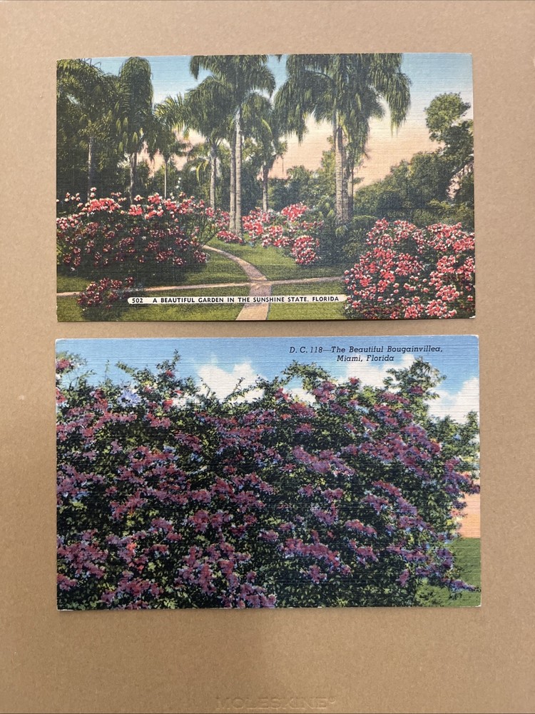Linen Postcards Miami, FL~ A Beautiful Garden & The Beautiful Bougainvillea