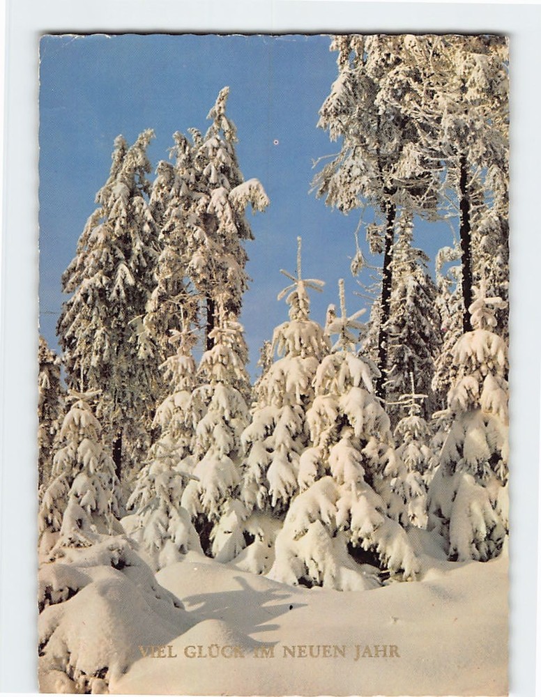 Postcard Viel Glück Im Neuen Jahr with Snow Trees Landscape Scenery