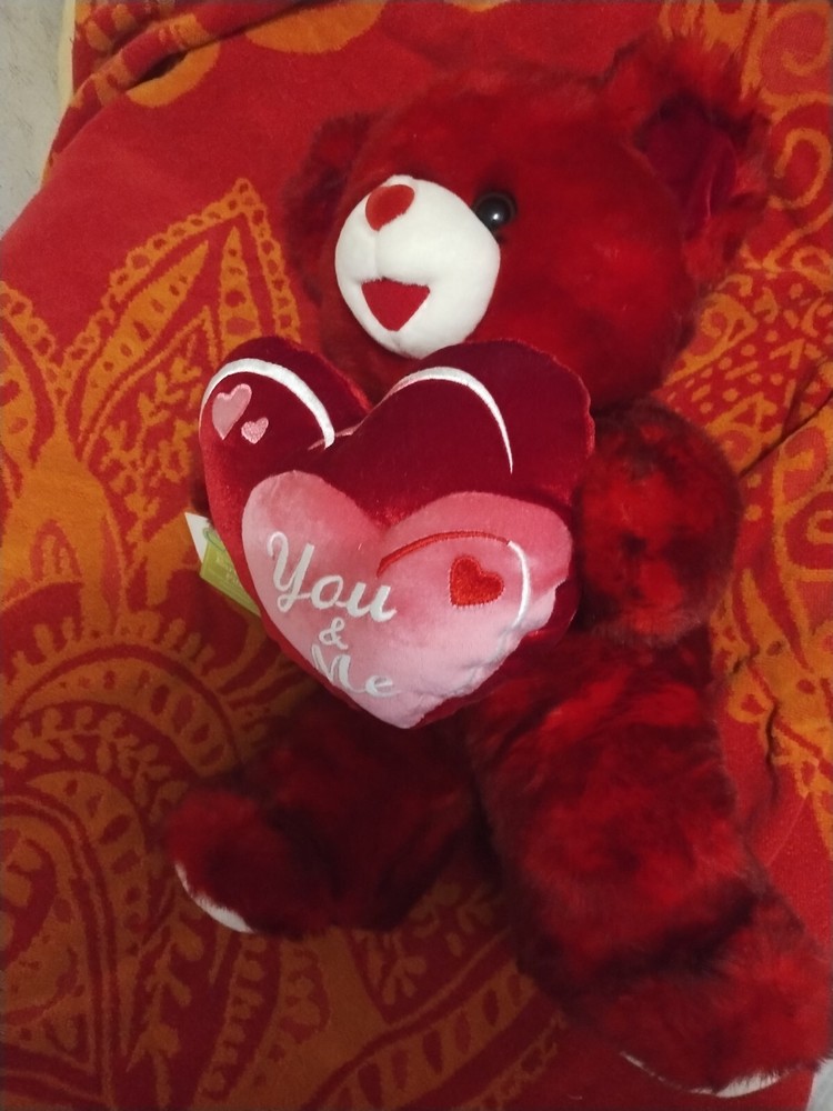 Dan Dee 2010 Red Sweetheart Teddy Bear Valentines 20