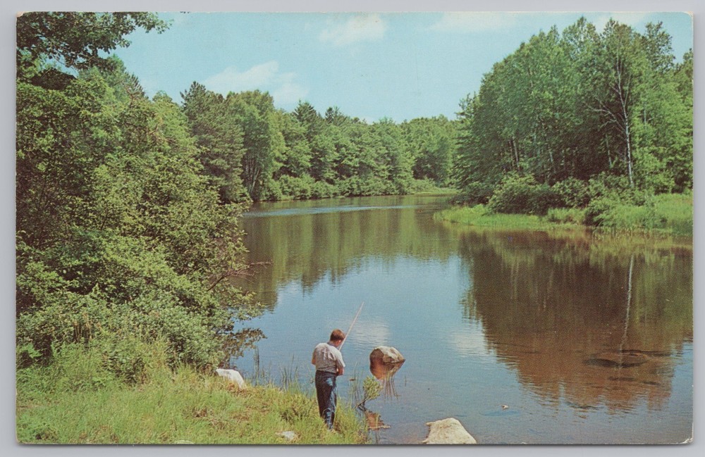 State View~Young Boy Fishing Along River~Vintage Postcard