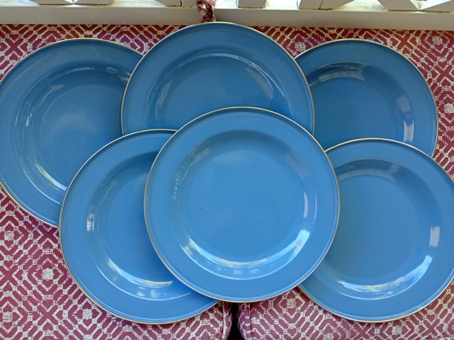 Pottery Barn Enamelware Plates 10