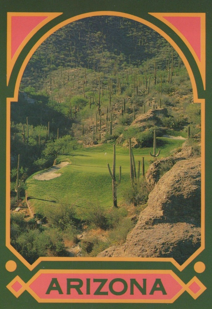 Saguaro Cacti Arizona 4x6 Postcard