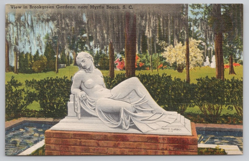 View in Brookgreen Gardens near Myrtle Beach. SC South Carolina Postcard Linen