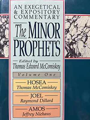 The Minor Prophets: An - Hardcover, by McComiskey Thomas Edward - Good