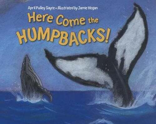 Here Come the Humpbacks! by April Pulley Sayre: Used