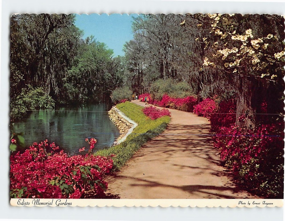 Postcard Edisto Memorial Gardens Orangeburg South Carolina USA
