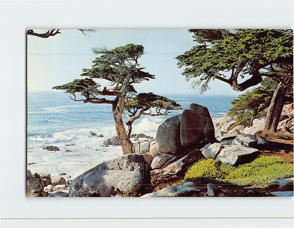 Postcard Pescadero Point Cypress 17 Mile Drive Pebble Beach California USA