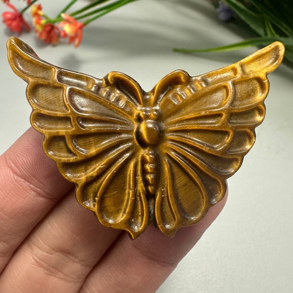 Natural Hand Carved Tiger's Eye Butterfly Quartz Skull Crystal Reiki Healing 1pc
