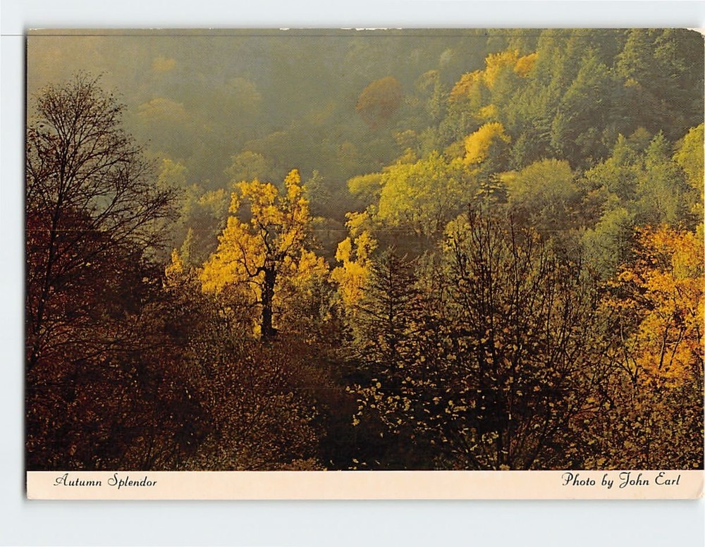 Postcard Autumn Splendor Great Smoky Mountains National Park USA