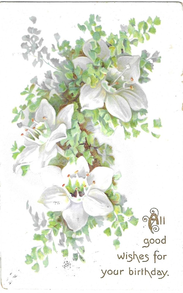 Vintage Greetings Postcard All Good Wishes Birthday White Flowers Embossed Tuck