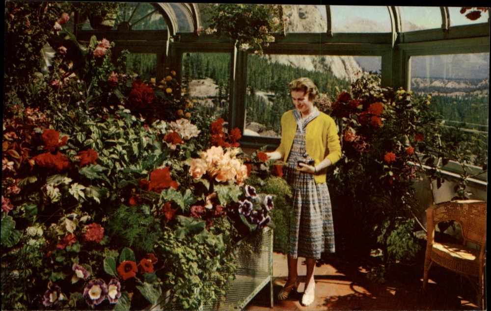 Conservatory Banff Springs Hotel Banff Natl Park Alberta Canada ~ 1960s postcard