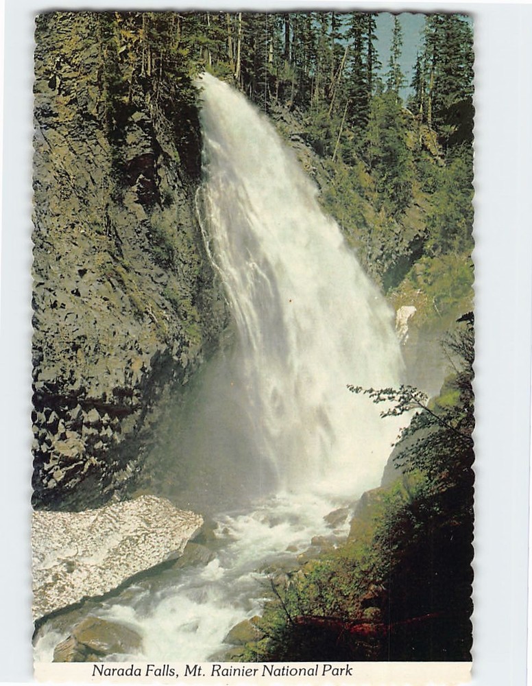 Postcard Narada Falls Mt. Rainier National Park Washington USA