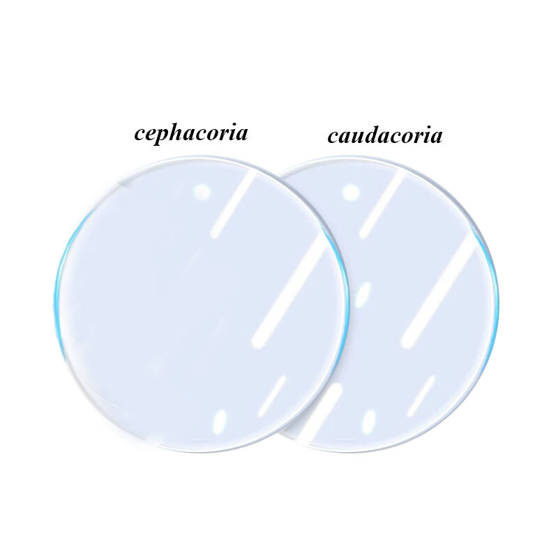 2 Pack AirTag Screen Protector Film for Front & Back Protection