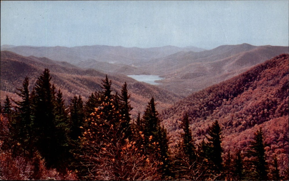 Blue Ridge Parkway Mt Mitchell Watershed ~ Asheville North Carolina ~ 1950s-60s