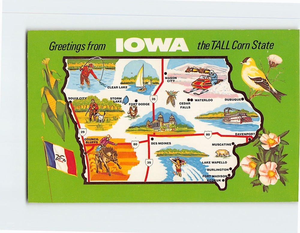Postcard Greetings from Iowa the Tall Corn State Iowa USA