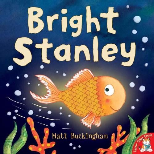 Bright Stanley by Buckingham, Matt Book The Fast Free ShippingFREE US DELIVERY | ISBN: 1848695985 | Quality Books