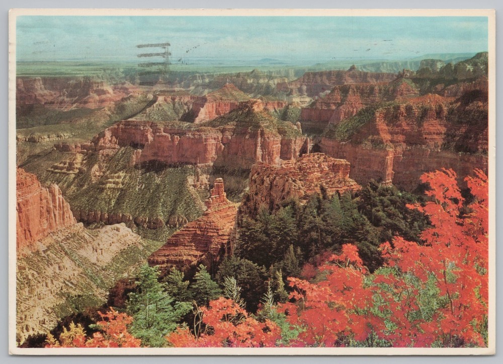 State View~Air View Grand Canyon In Autumn~Continental Postcard