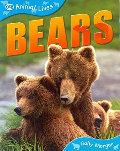 Bears (QEB Animal Lives) - Paperback, by Sally Morgan - Very Good