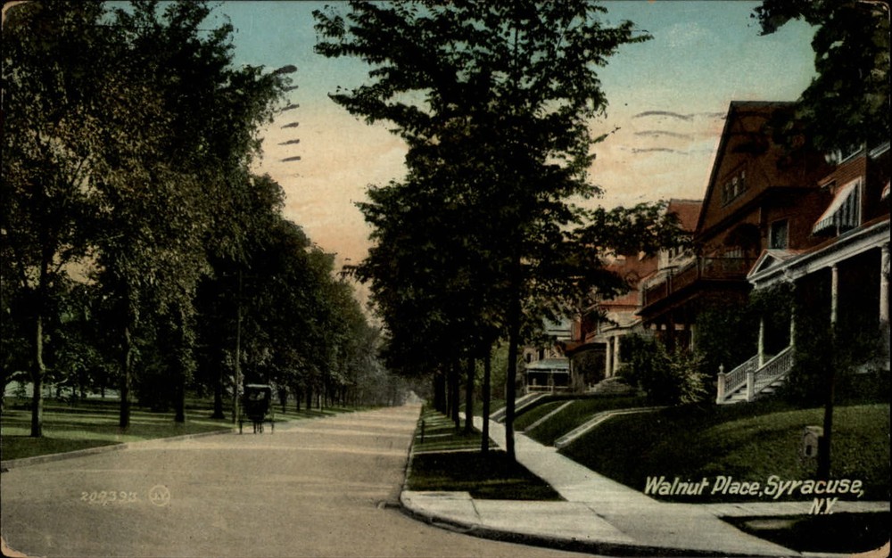 Walnut Place ~ Syracuse New York NY ~ 1909  vintage postcard