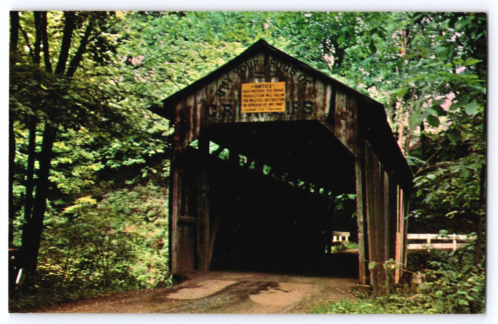 Vintage Photo Postcard Teagarden Covered Bridge Trees Columbiana County Ohio