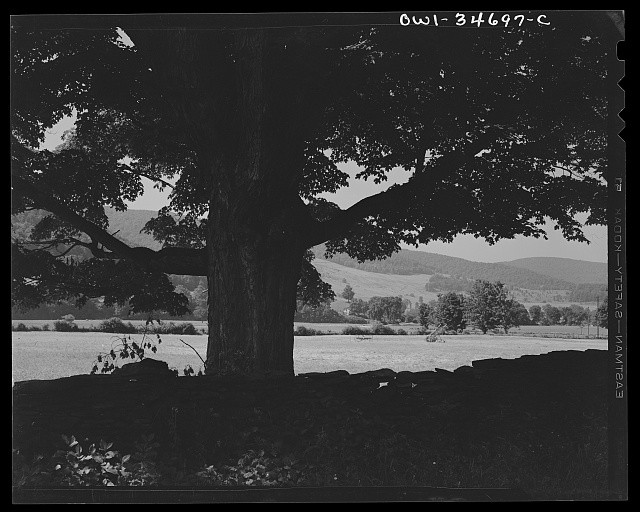 Photo:Upper Delaware River New York Farmland Landscape 1943 June