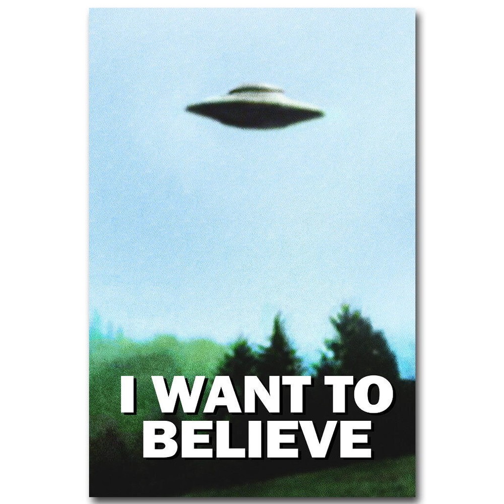 75122 I WANT TO BELIEVE - The X-Files Wall Print Poster US